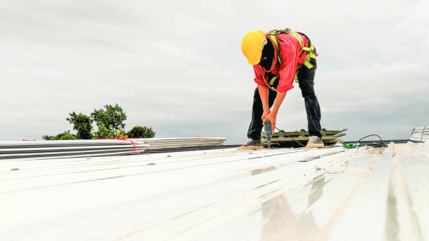 Best Solar Panel Roofing Installation  in Payson, UT